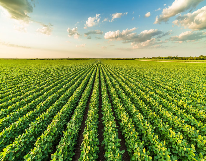 Agricultural